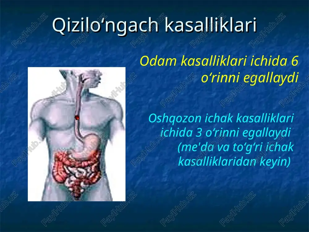 qizilo‘ngach kasalliklari — PPT