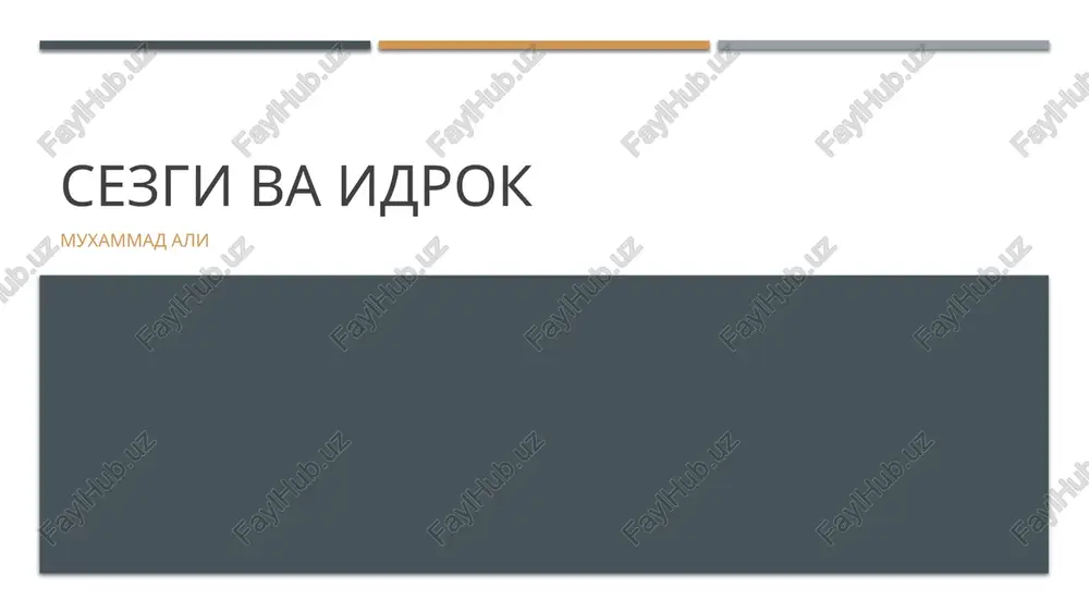 sezgi va idrok — PPTX