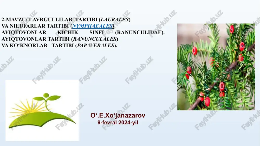 lavrgullilar tartibi (laurales) — PPTX