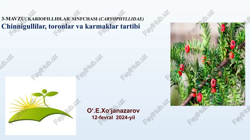 kariofillidlarsinf — PPTX