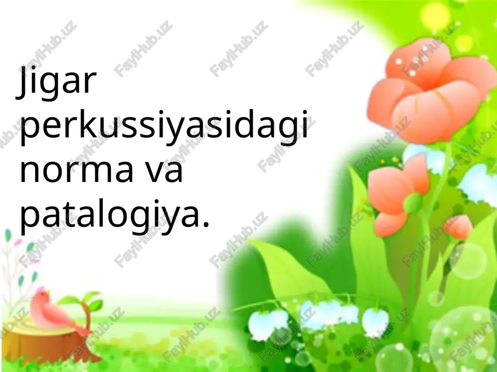 jigar perkussiyasi — PPT