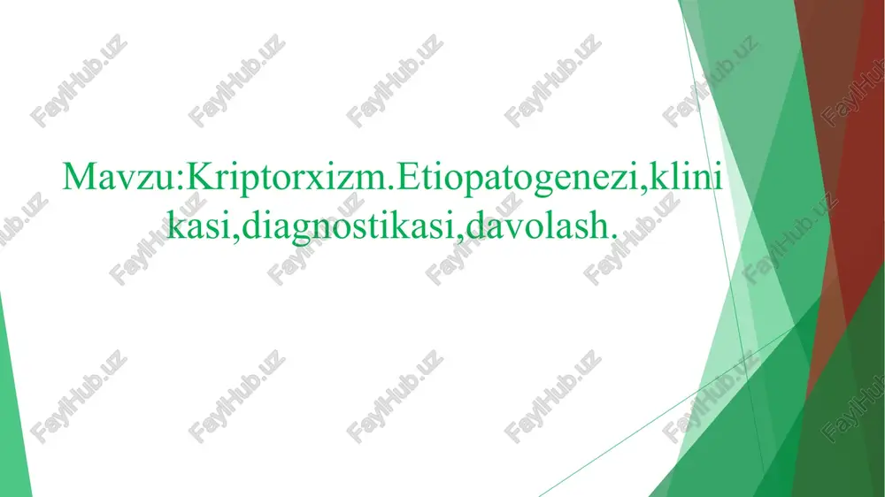 kriptorxizm — PPT