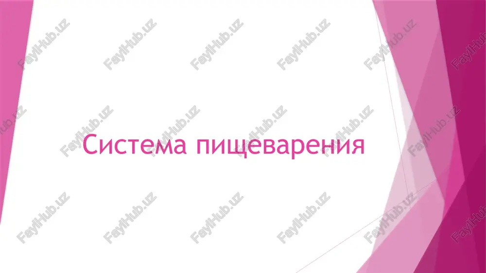sistema pishevareniya — PPTX