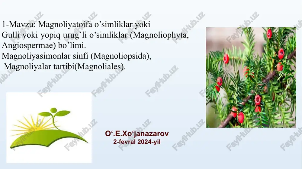 gullio‘simliklarmagnoliophyta — PPTX