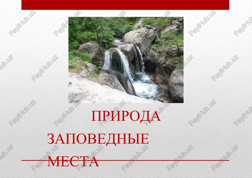 priroda zapovednie mesta — PPTX
