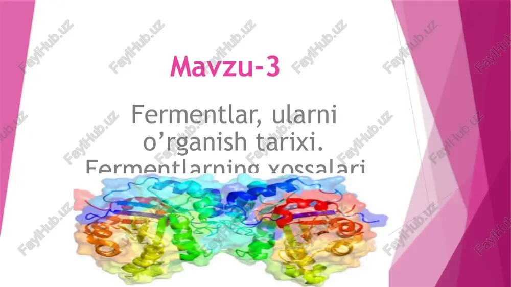 fermentlar — PPTX