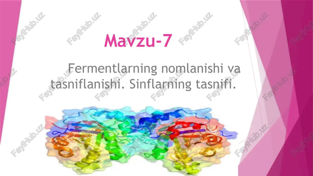 fermentlar — PPTX