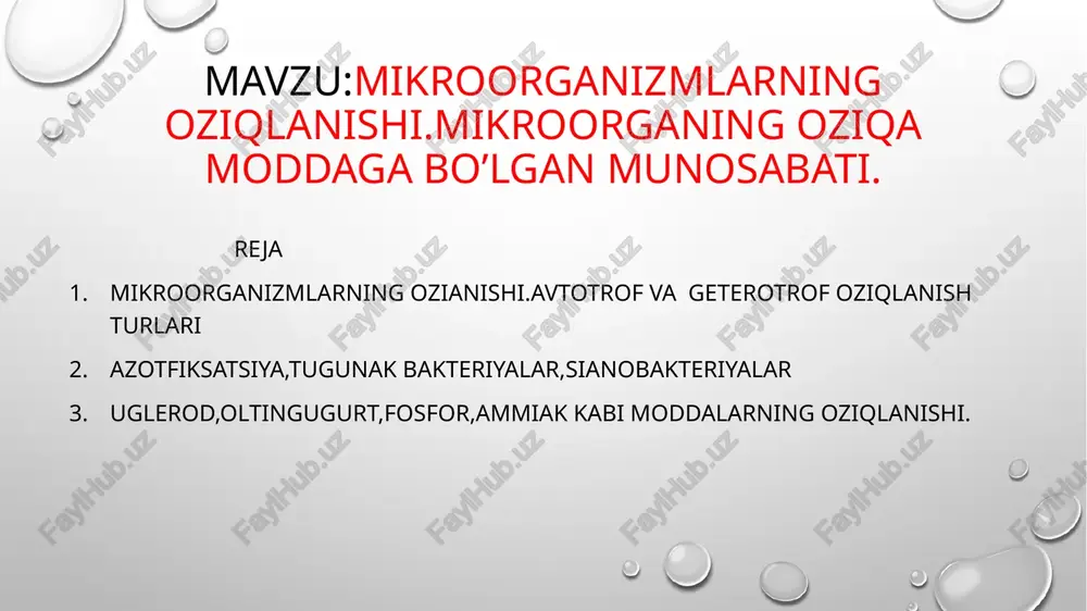 mikroorganizmlarning oziqlanishi — PPTX