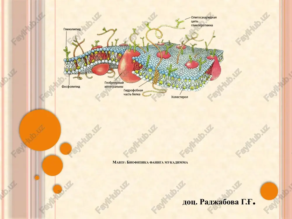 biofizikafanigamukadimma — PPTX