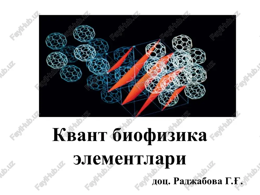 kvant biofizika elementlari — PPT