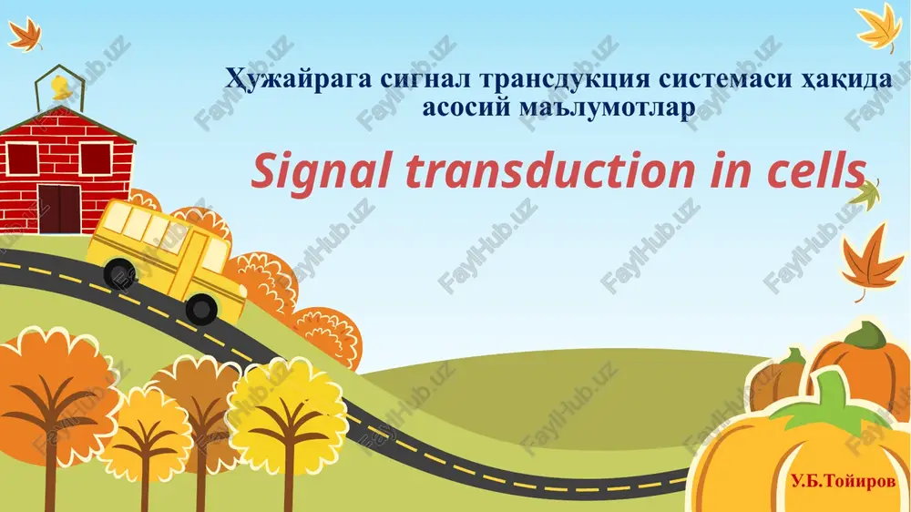 signal transduction in cells — PPTX