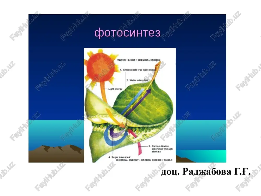retseptsiya biofizikasi — PPTX
