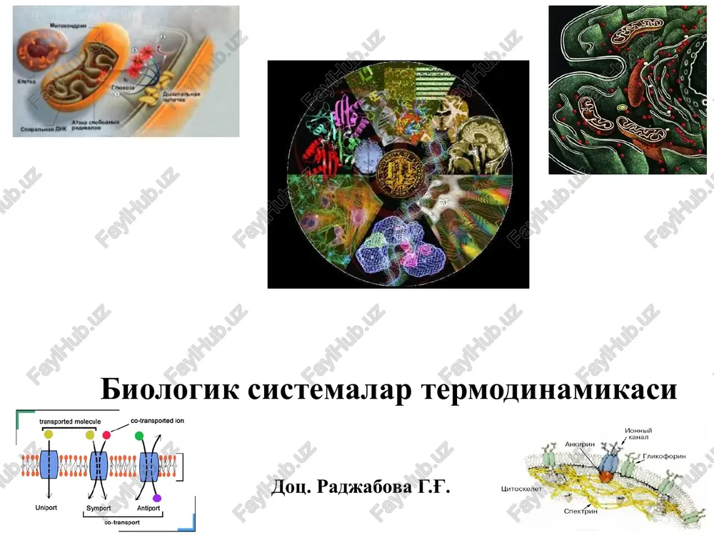 biologik sistemalar termodinamikasi — PPTX