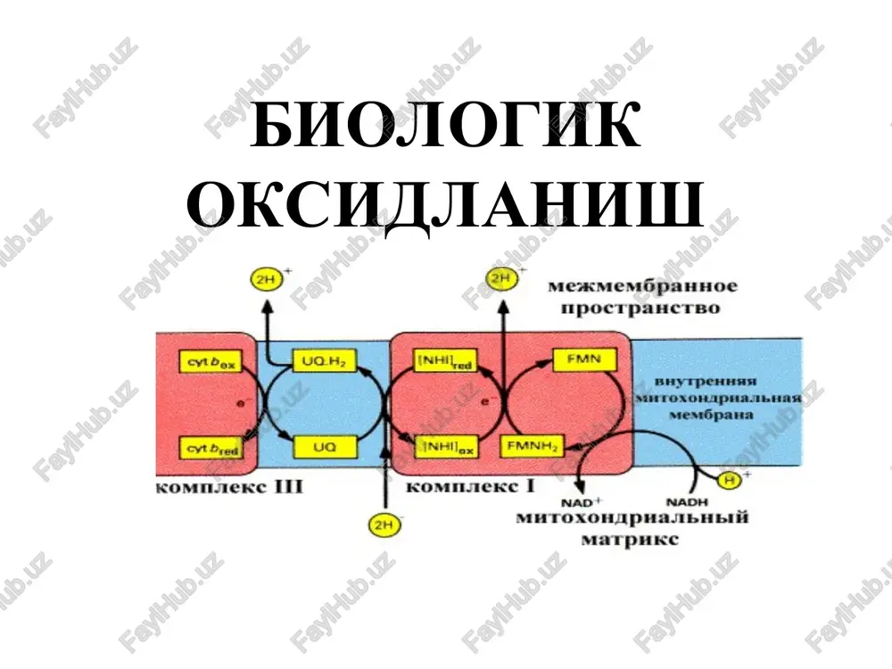 biologik oksidlanish — PPT