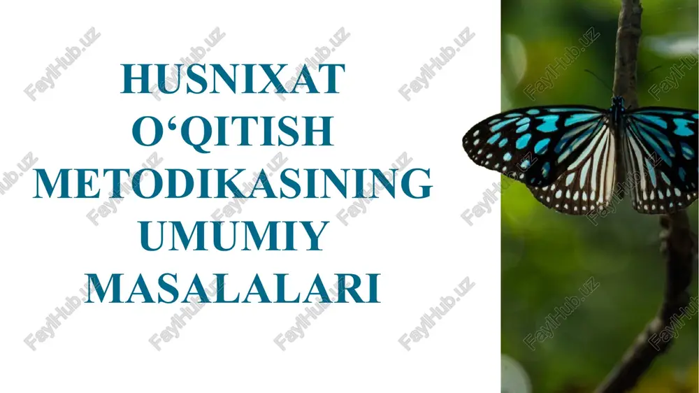 husnixato‘qitish metodikasi — PPTX