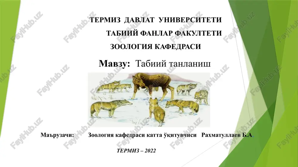 tabiiytanlanish — PPTX