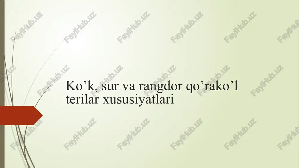 ko’k, sur va rangdor qo’rako’l terilar xususiyatlari — PPTX