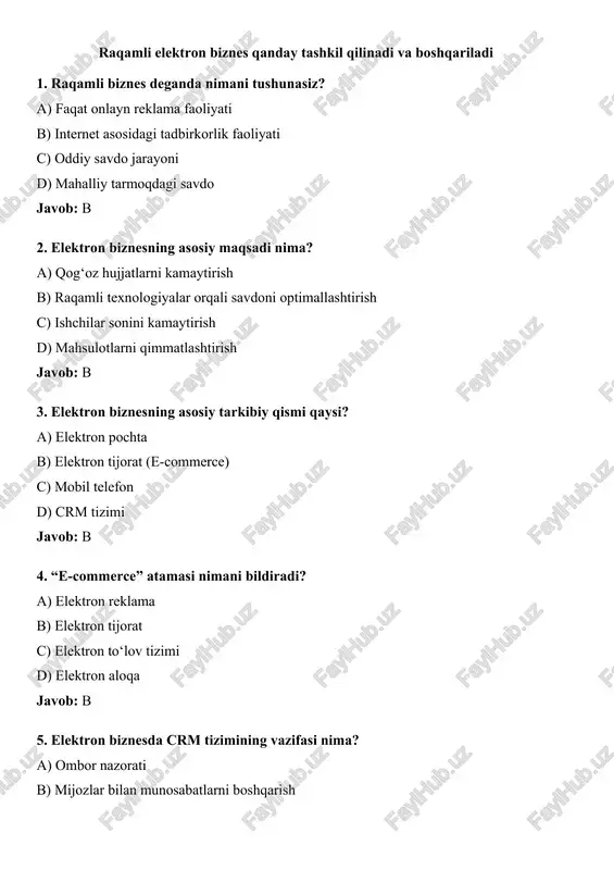 raqamli elektron biznes — DOCX