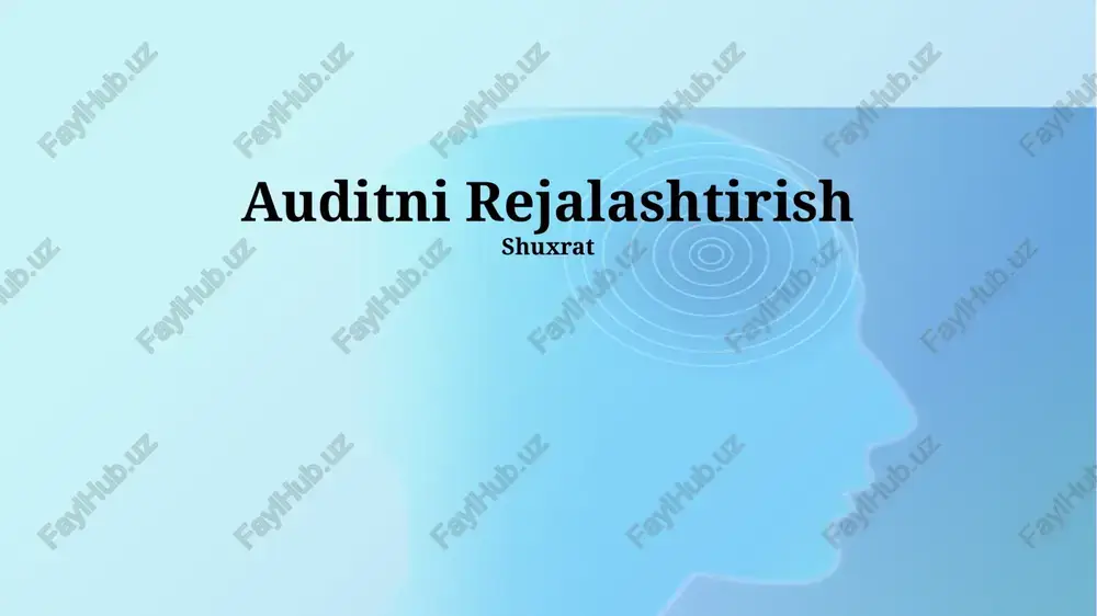 auditni rejalashtirish — PPTX