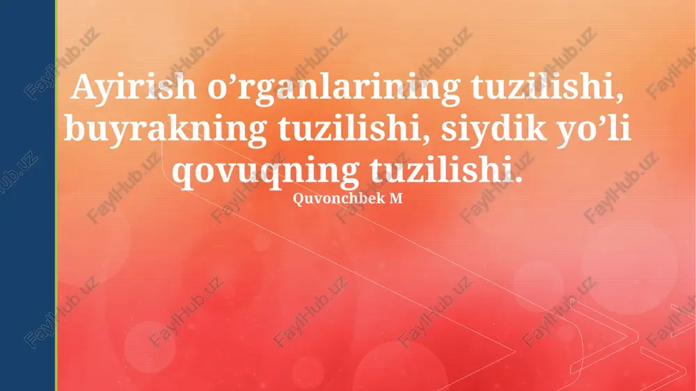 siydik pufagi tuzilishi — PPTX