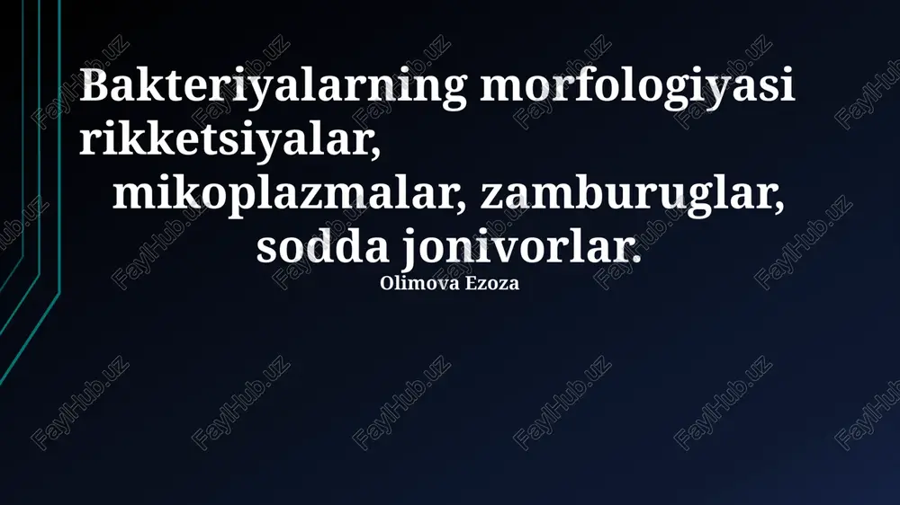 bakteriyalarning morfologiyasi — PPTX