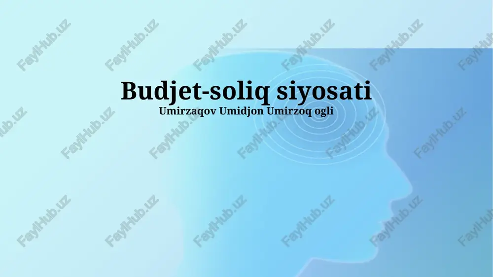 budjet-soliq siyosati — PPTX