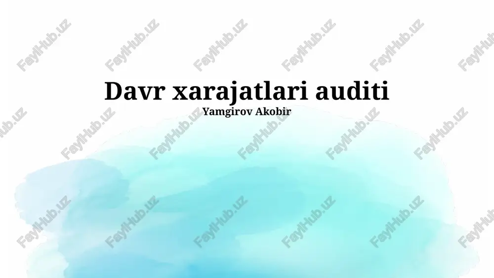 davr xarajatlari auditi — PPTX