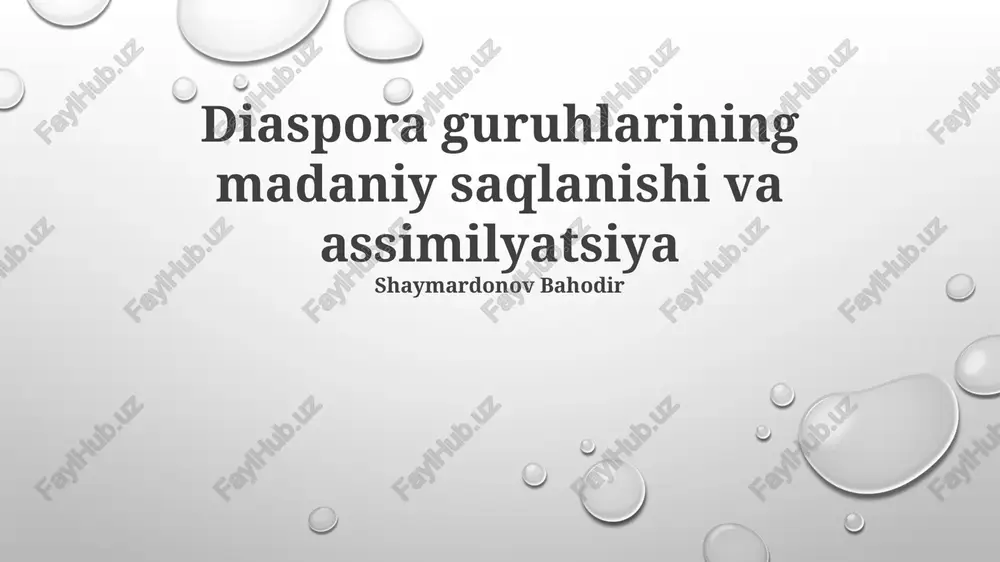 diaspora guruhlari madaniy merosining saqlanishi — PPTX