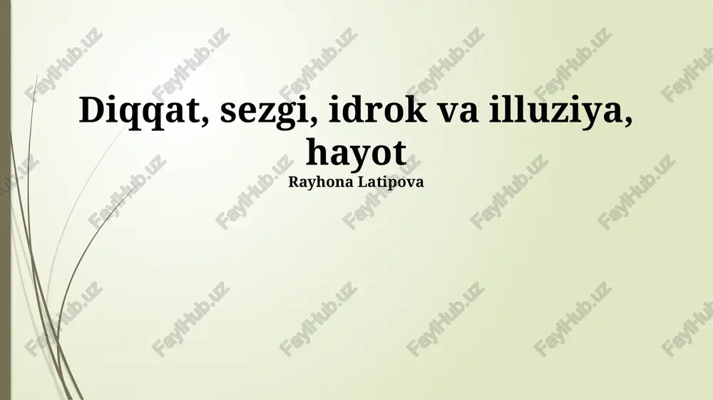 diqqat, sezgi, idrok va illuziya, hayot — PPTX