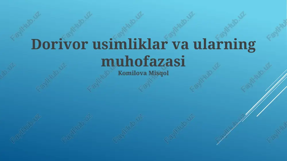 dorivor usimliklar va ularning muhofazasi — PPTX
