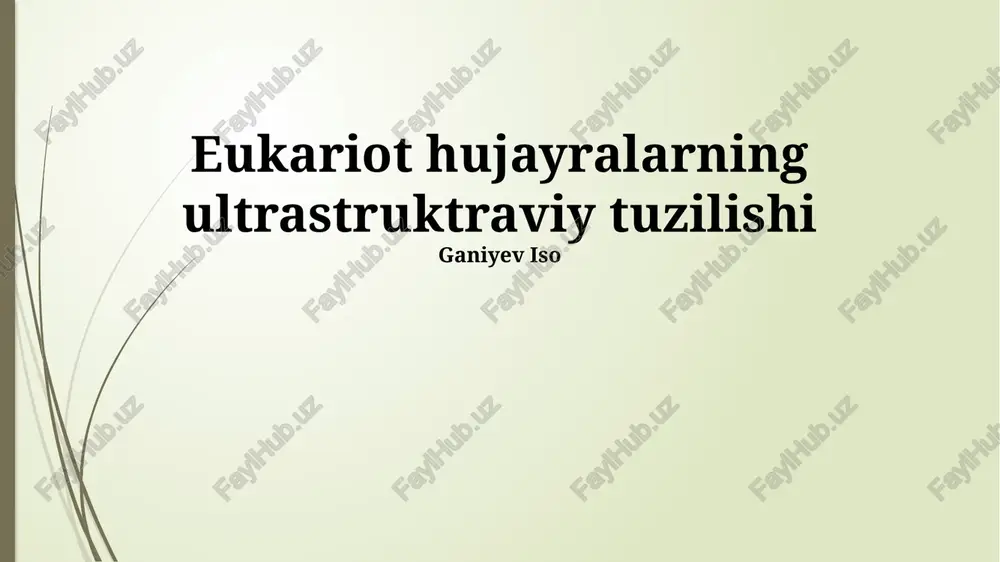 eukariot hujayralarning ultrastruktraviy tuzilishi — PPTX