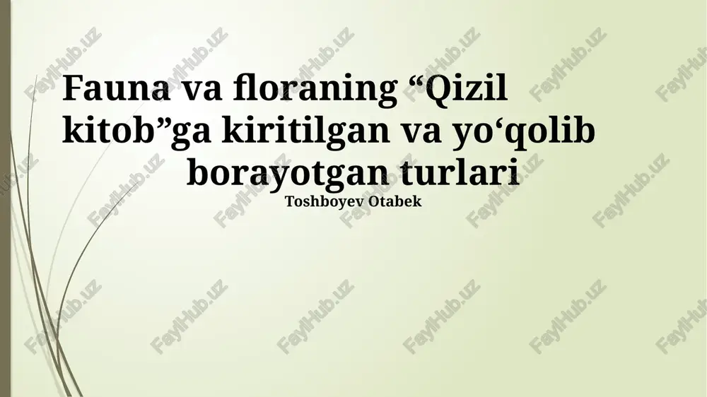 qizil kitob — PPTX