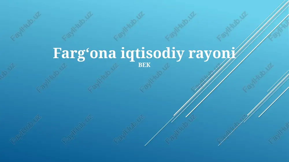 fargʻona iqtisodiy rayoni — PPTX