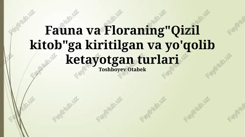 qizil kitob — PPTX