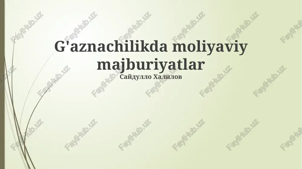 davlat xazinasining moliyaviy majburiyatlari — PPTX