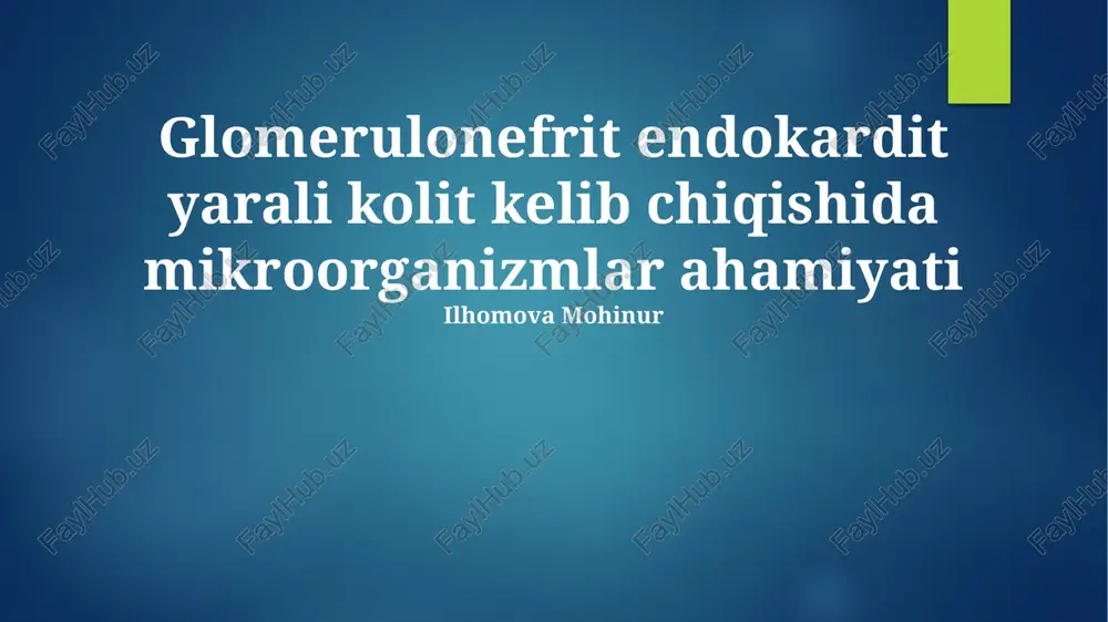 glomerulonefrit endokardit yarali kolit kelib chiqishida mikroorganizmlar ahamiyati — PPTX