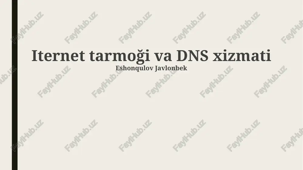 iternet tarmoği va dns xizmati — PPTX
