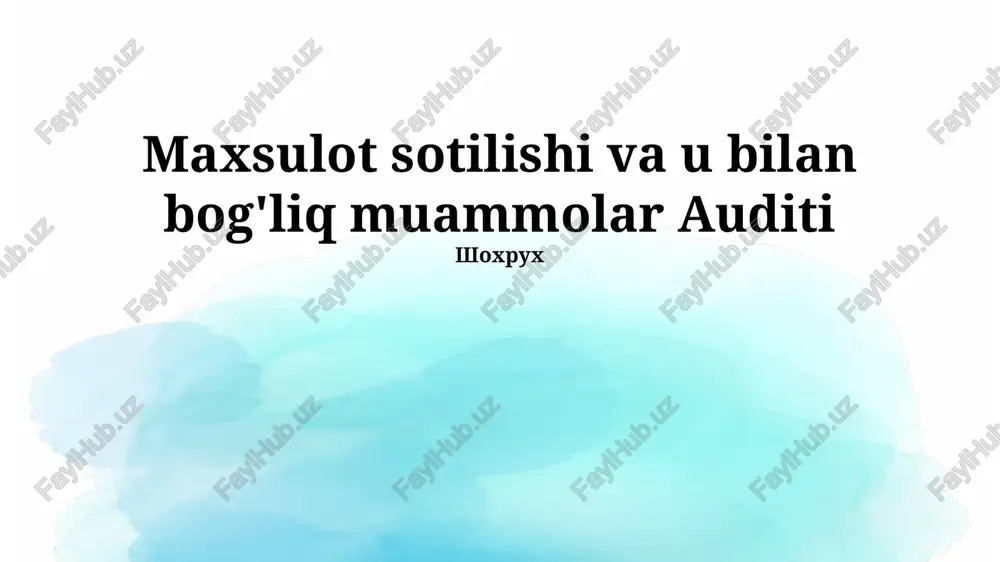 sotuvlar auditining muammolari — PPTX