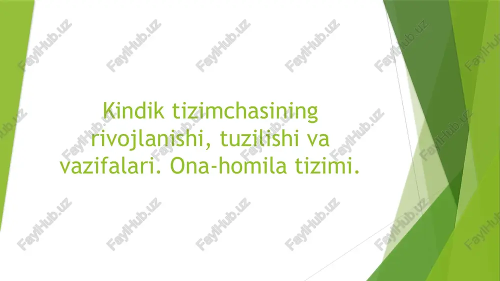 kindik tizimchasining rivojlanishi tuzilishi va vazifalari — PPTX
