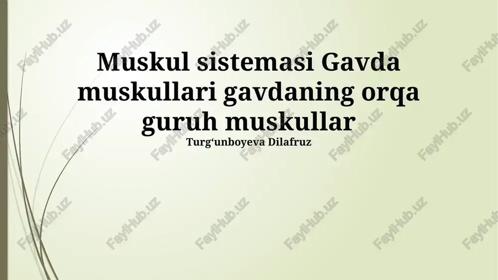 multifidus mushagi — PPTX