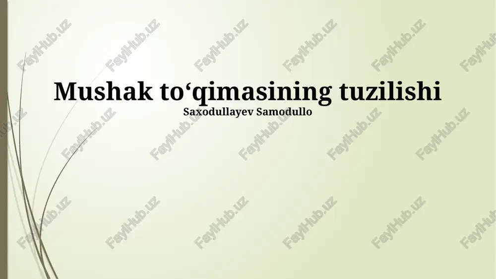 mushak toʻqimasining tuzilishi — PPTX
