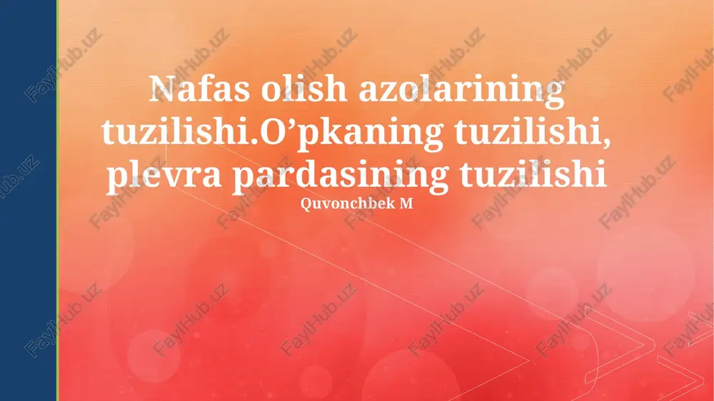 nafas olish azolarining tuzilishi — PPTX
