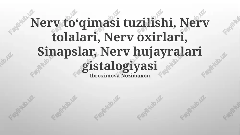 nerv tolalari — PPTX