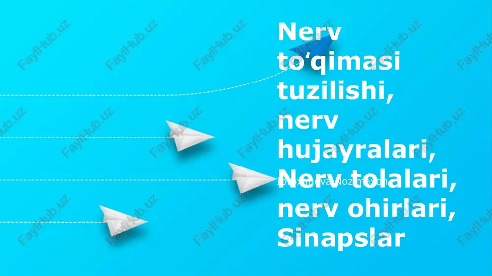 nerv uchlari va sinapslari — PPTX