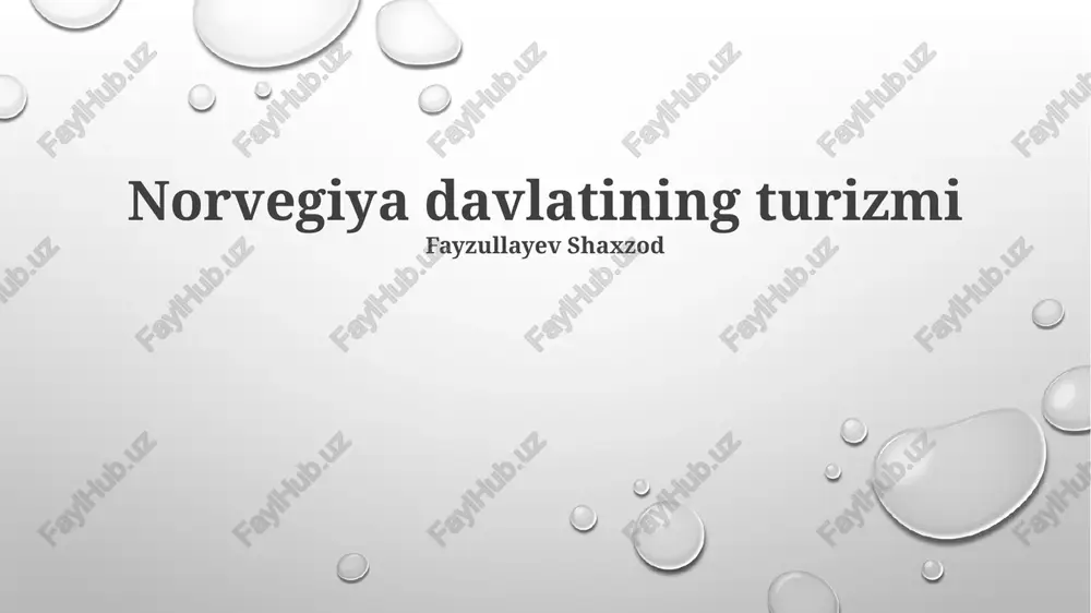 norvegiya davlatining turizmi — PPTX