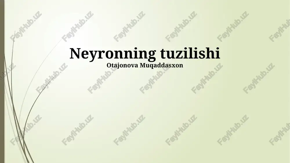 neyronning tuzilishi — PPTX