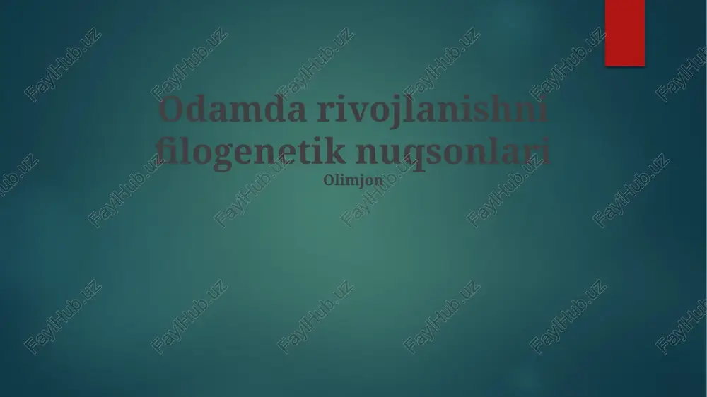 yurak-qon tomir tizimi rivojlanishidagi nuqsonlar — PPTX