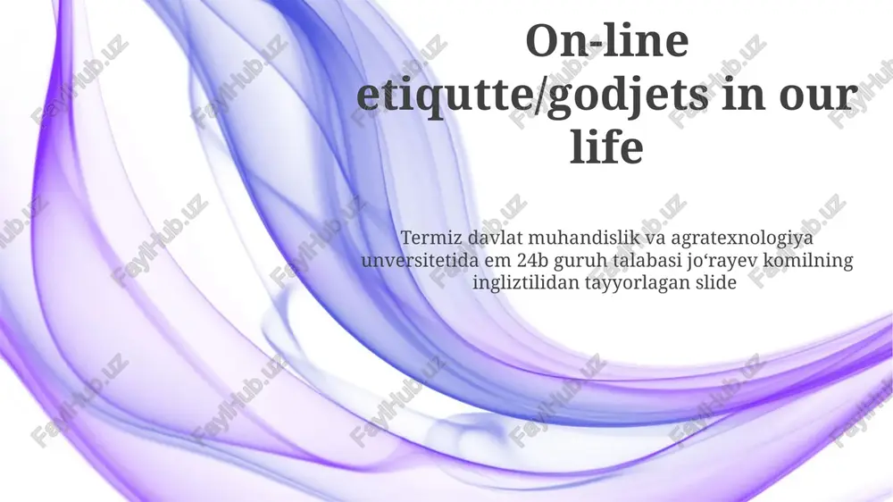 the digital landscape: navigating online etiquette — PPTX