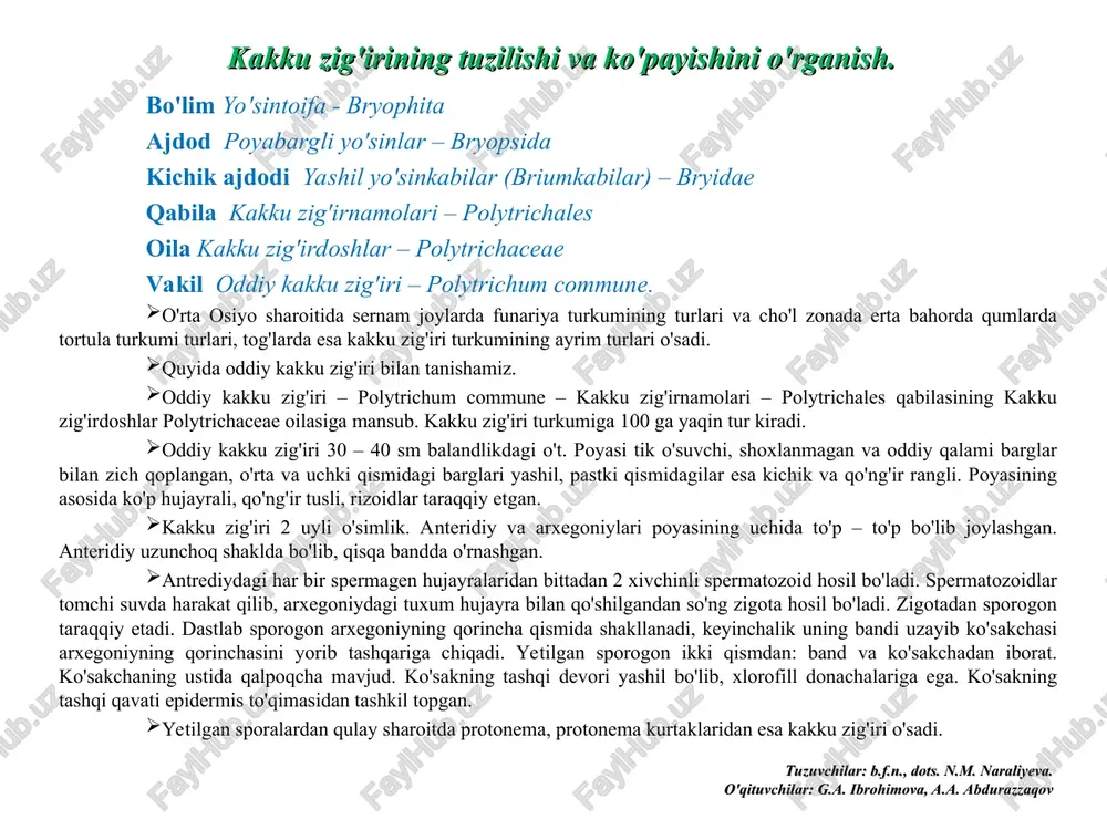 kakku zig'iri (polytrichum commune) — PPT