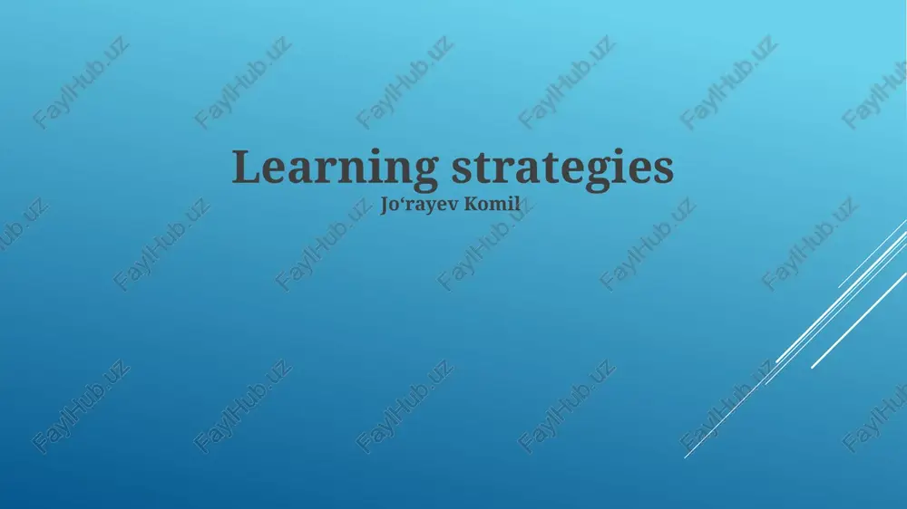 learning strategies — PPTX